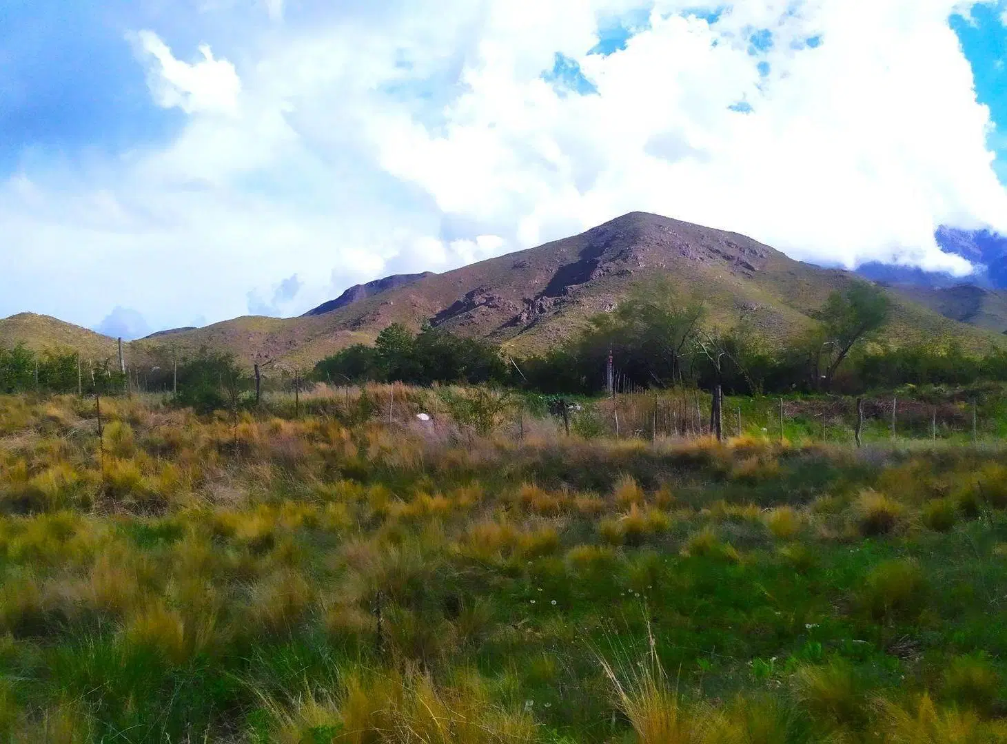 LOTE DE 1.000 M2 EN EL MANZANO 3