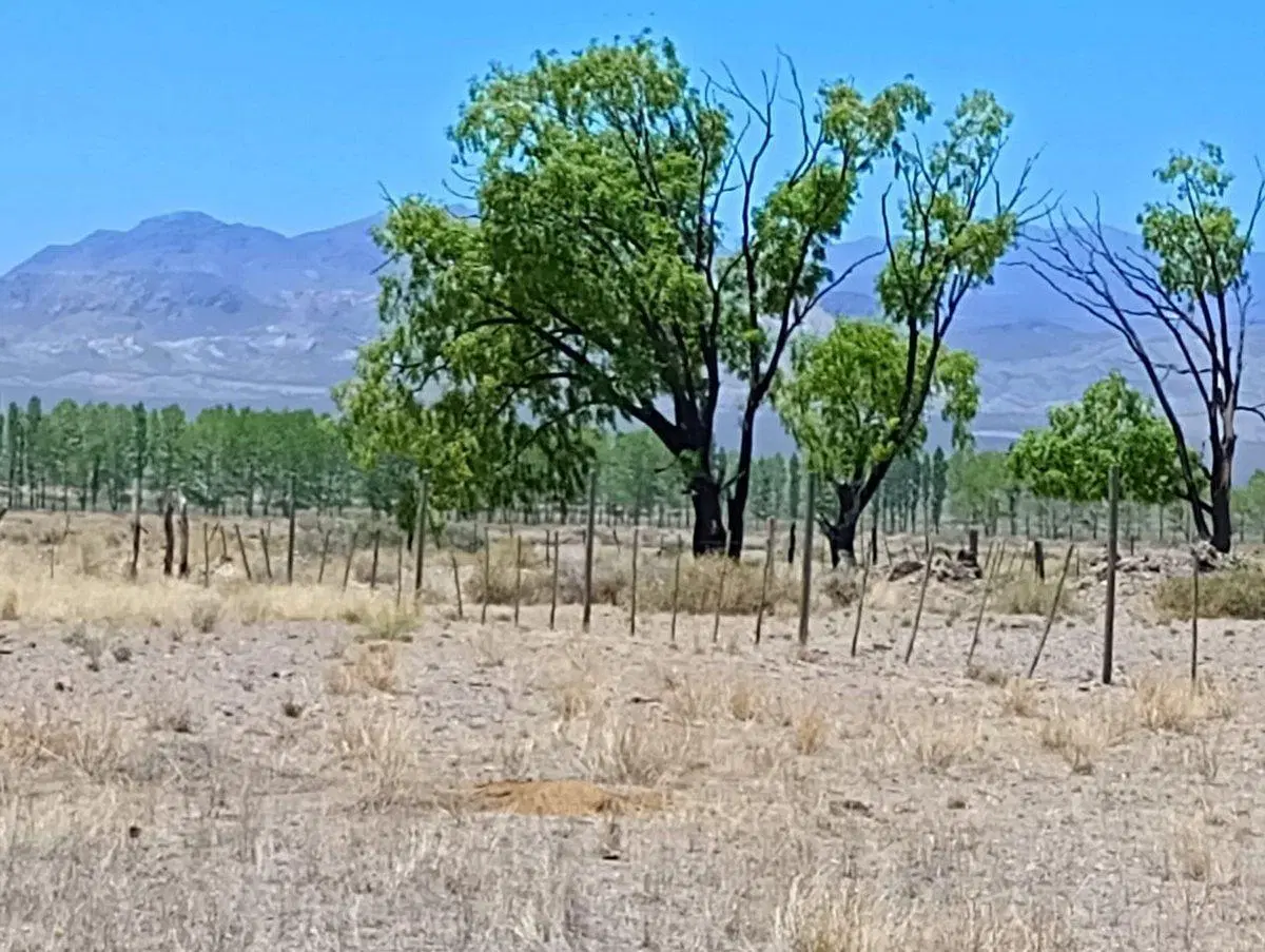 Venta Lote San Alberto Uspallata 3000 m² 4