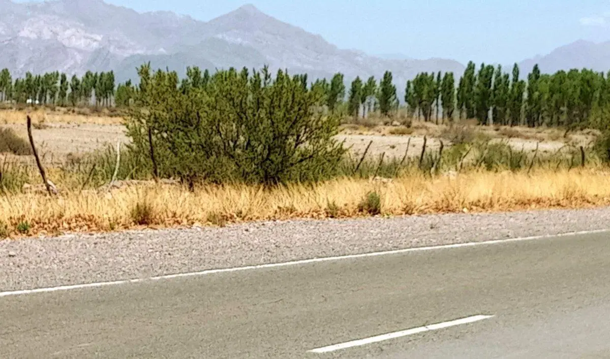 Venta Lote San Alberto Uspallata 3000 m² 2