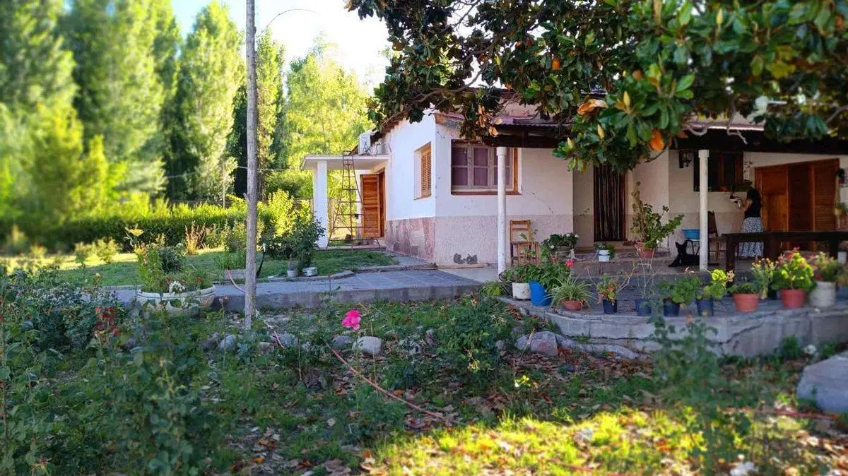 FINCA 11,5 HAS. EN COLONIA LAS ROSAS - TUNUYÁN 2