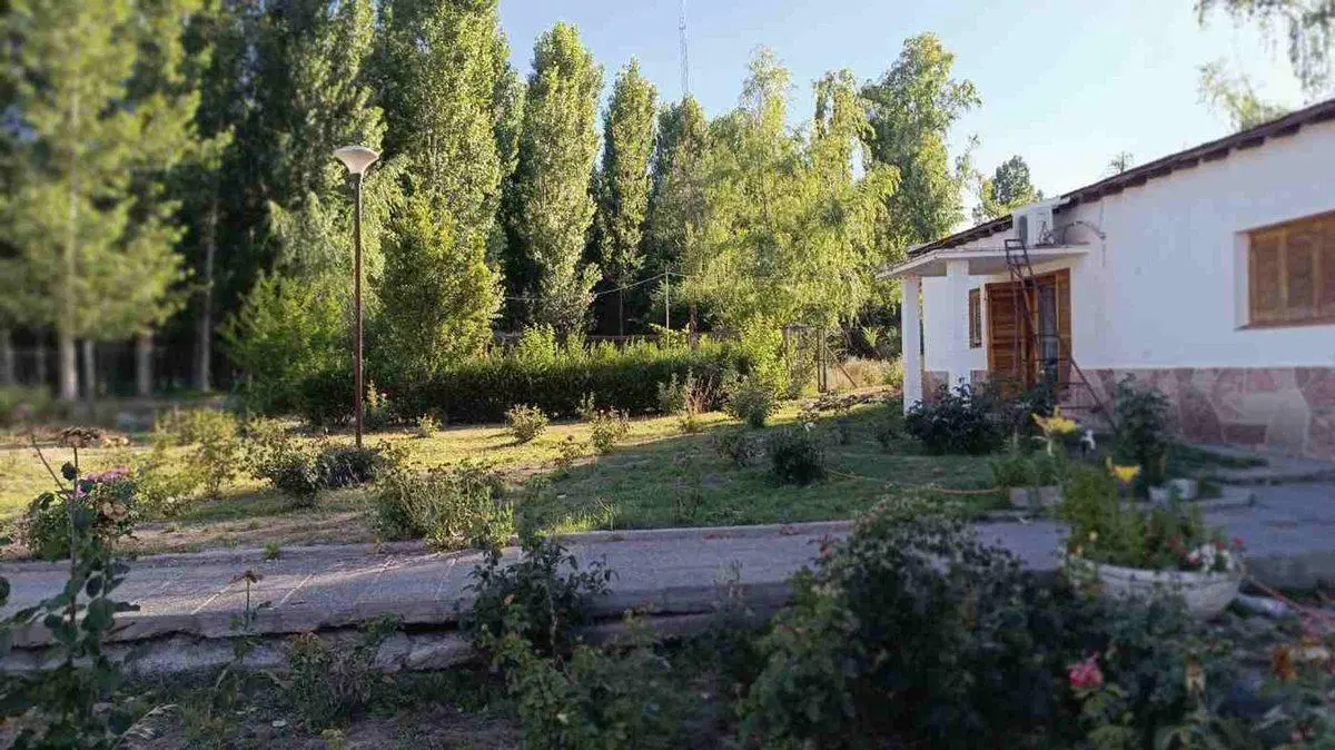 FINCA 11,5 HAS. EN COLONIA LAS ROSAS - TUNUYÁN 5