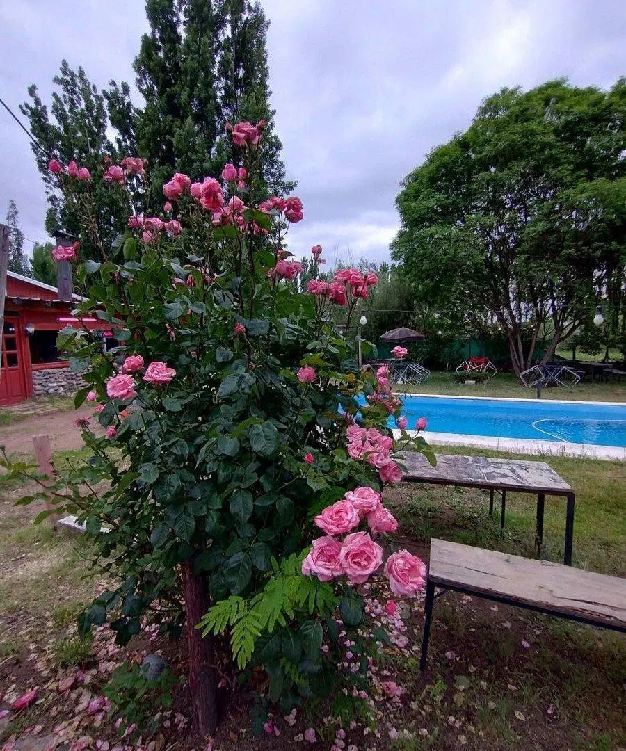Local Comercial en Venta en Luján de Cuyo, Mendoza 5