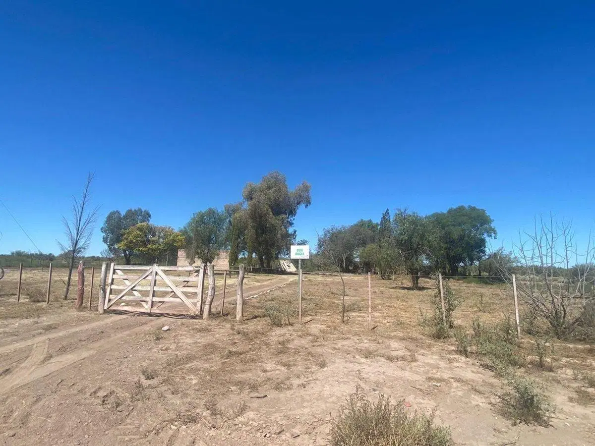 CAMPO EN VENTA MENDOZA 4
