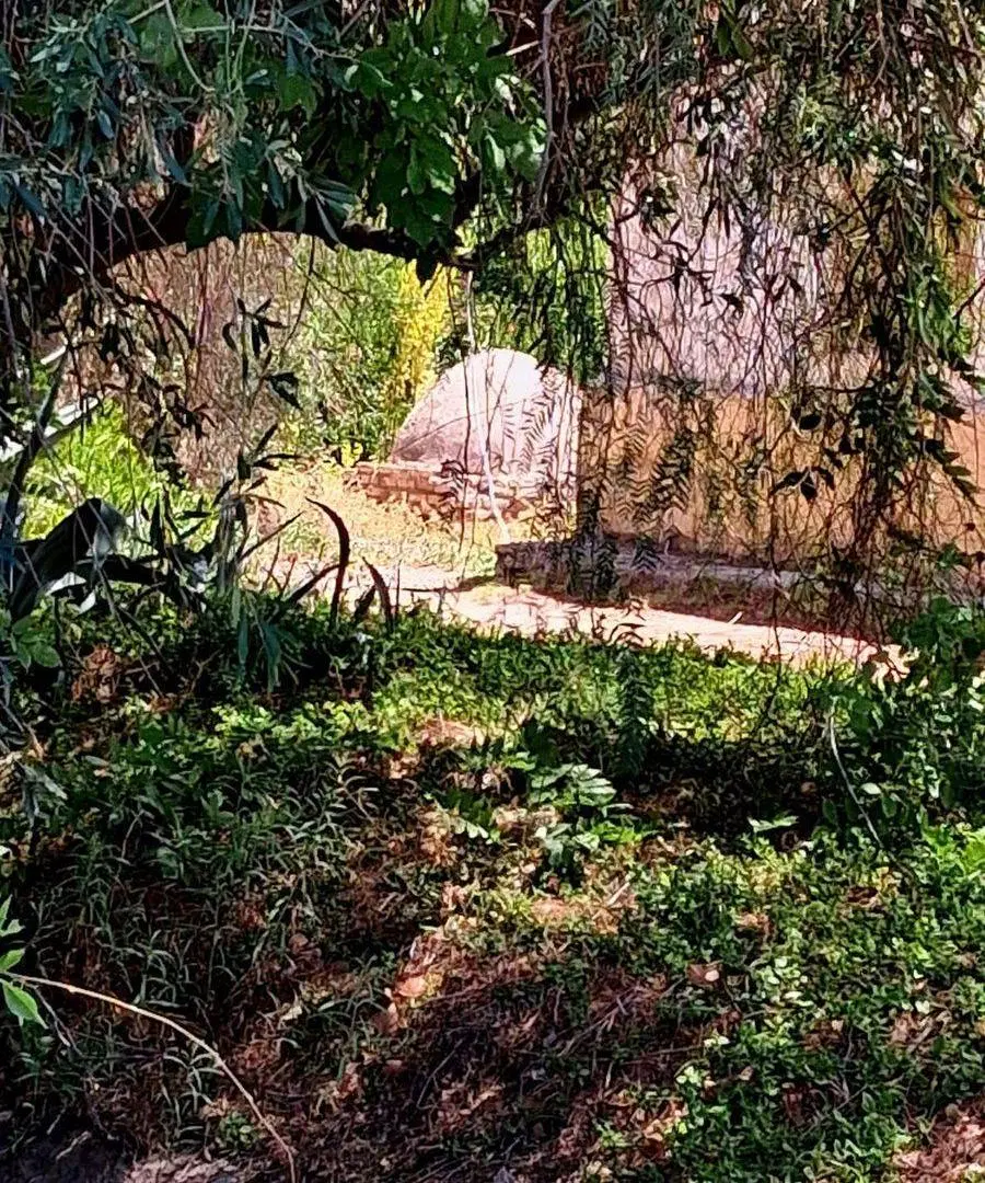 VENTA DE FINCA EN BARRANCAS 4