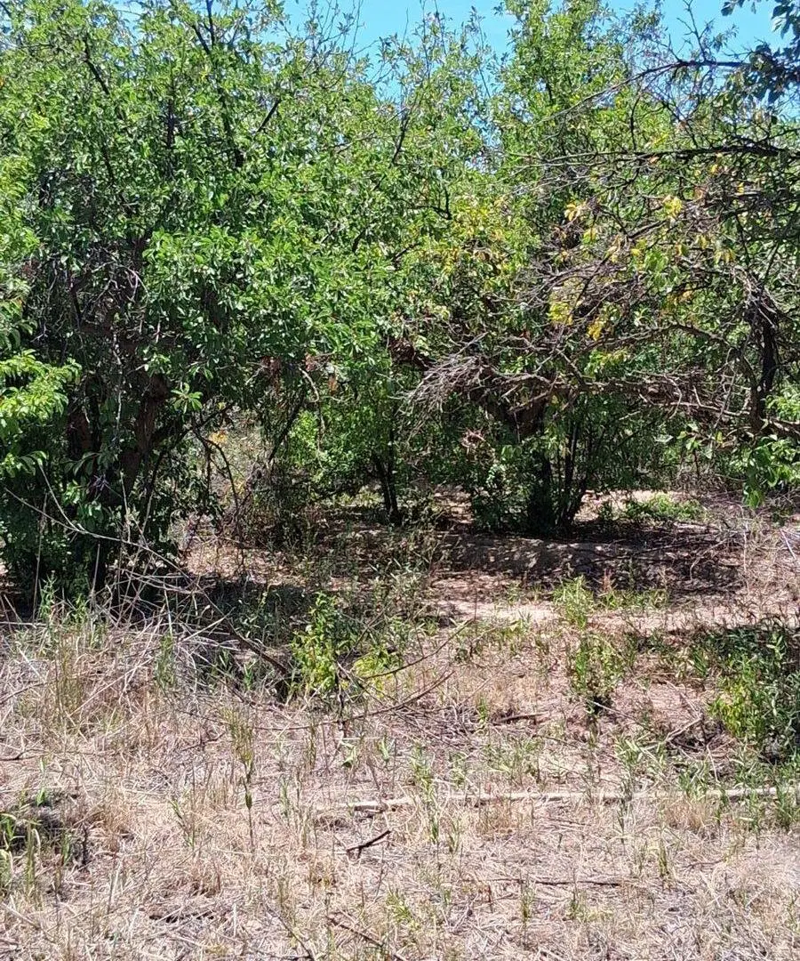 VENTA DE FINCA EN BARRANCAS 8