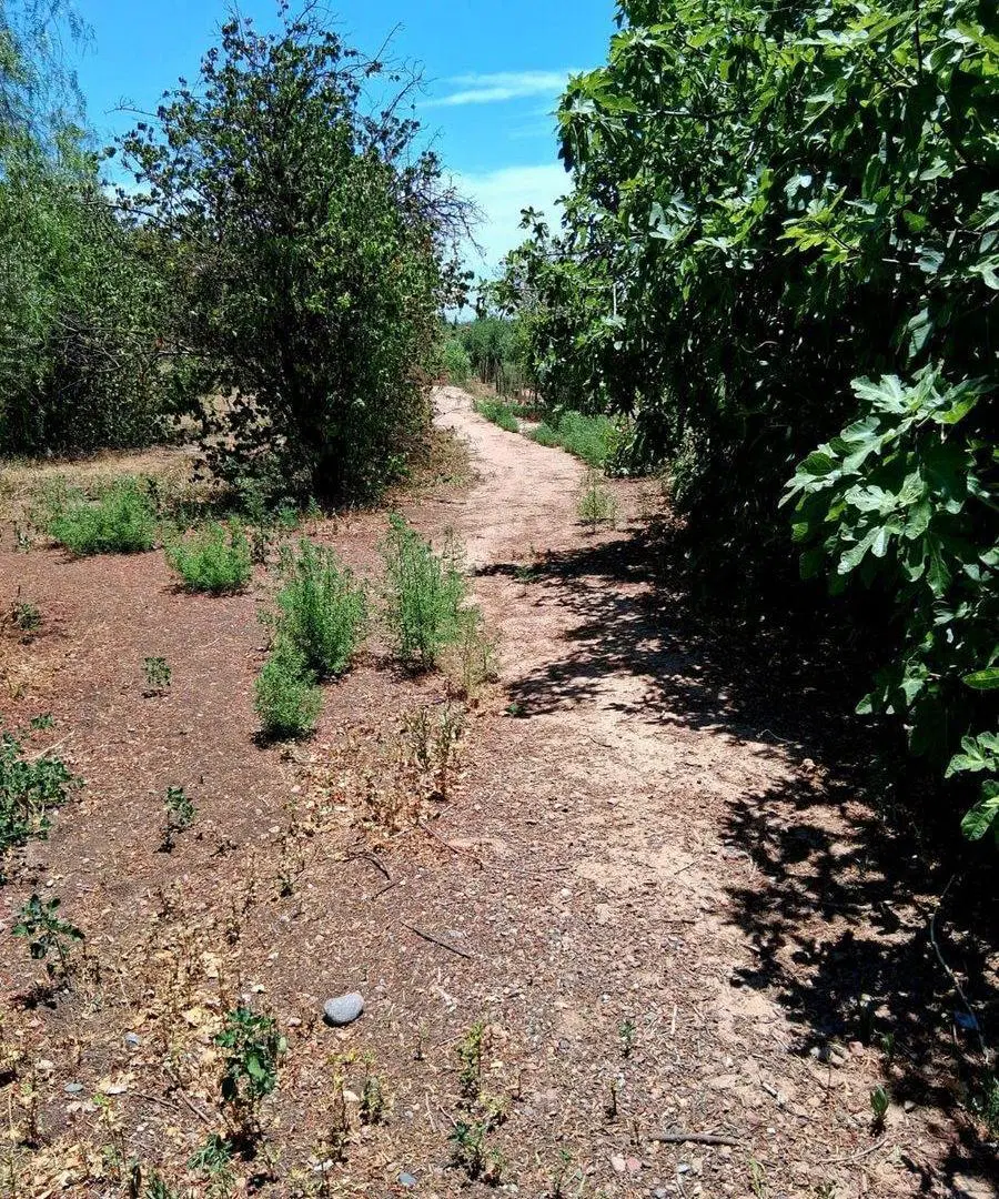 VENTA DE FINCA EN BARRANCAS 2