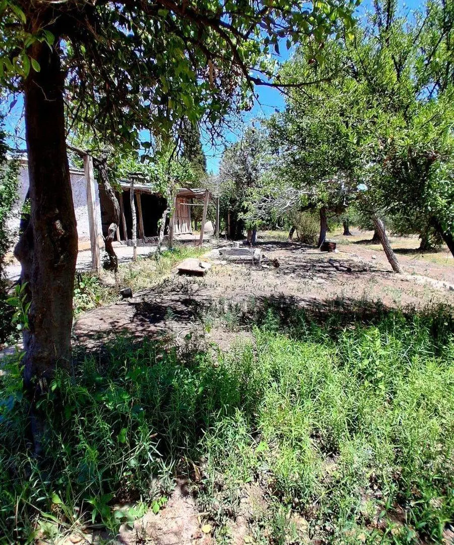 VENTA DE FINCA EN BARRANCAS 3