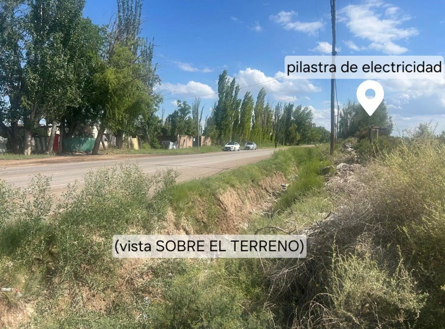 TERRENO 12 Ha. GUAYMALLEN. IDEAL DESARROLLISTA. 4