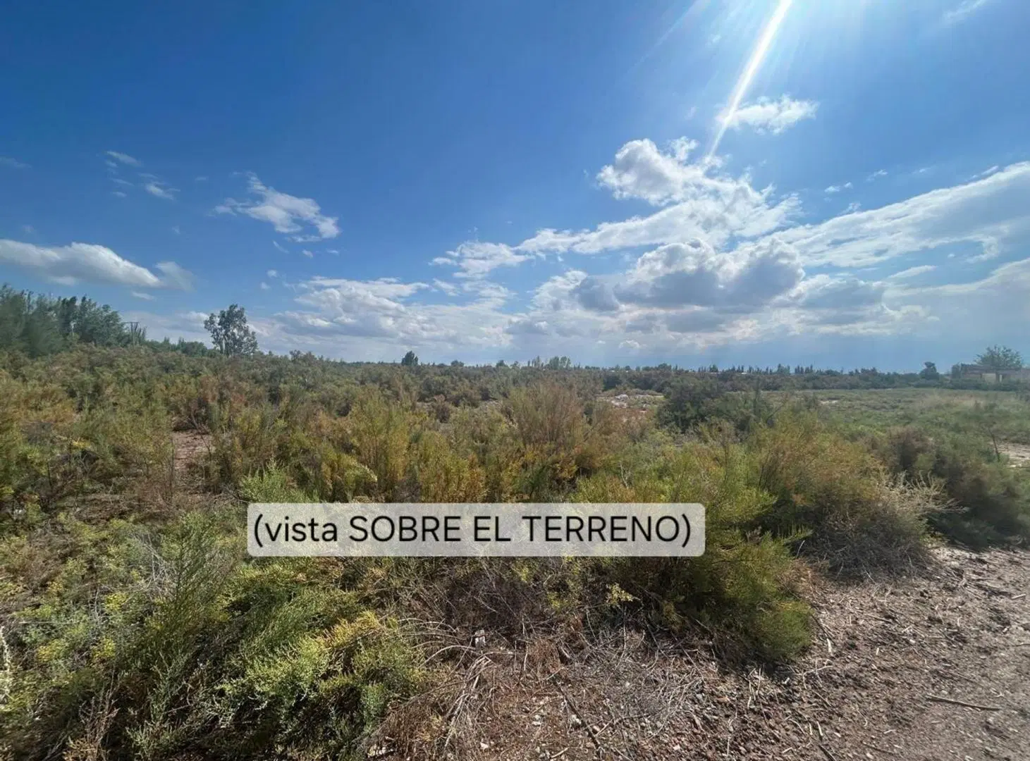 TERRENO 12 Ha. GUAYMALLEN. IDEAL DESARROLLISTA. 3
