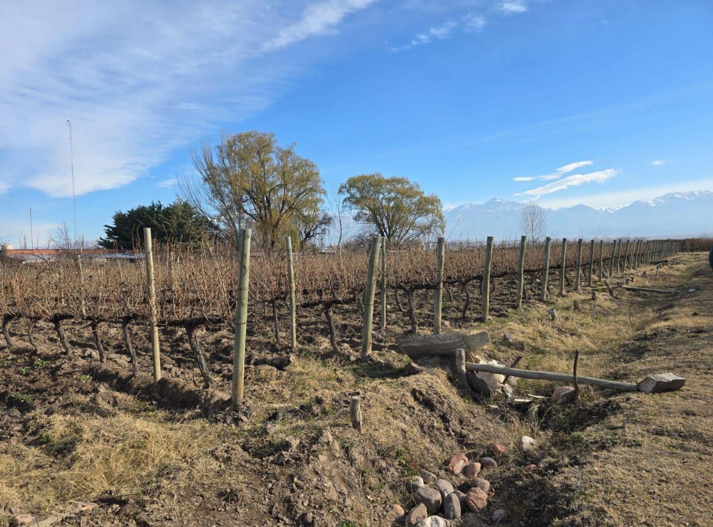 FINCA Y COMPLEJO TURÍSTICO EN VENTA EN TUNUYÁN