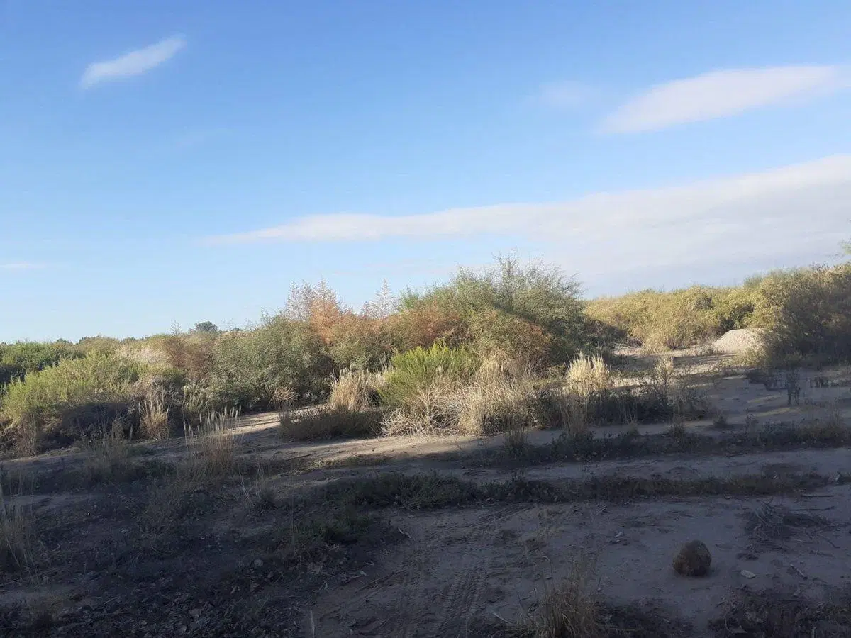 GRAN OPORTUNIDAD DE INVERSIÓN 18 HECTAREAS 2