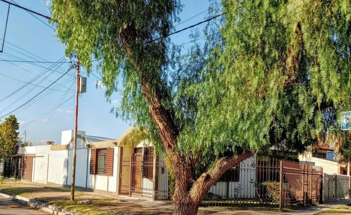 Venta Casa 3 habitaciones Lujan de Cuyo Centro 4