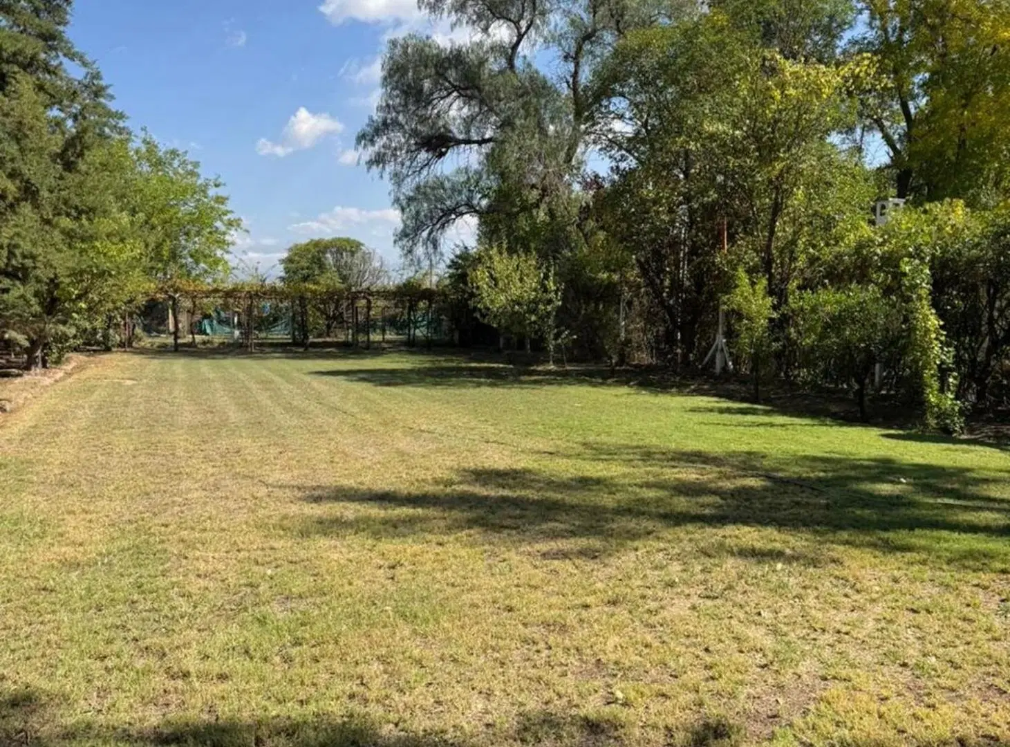 GRAN OPORTUNIDAD LOTE EN ZONA ESTRATÉGICA 3