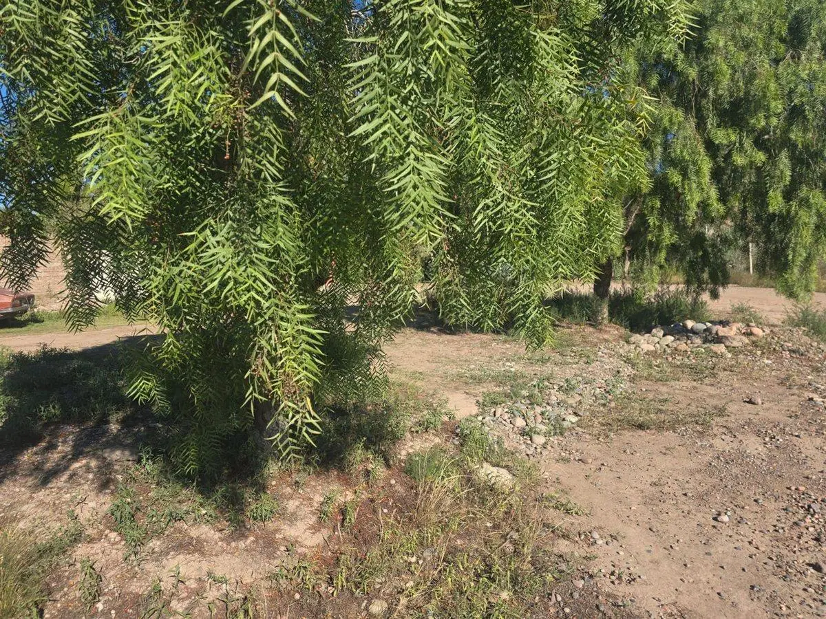 VENTA DE LOTE EN PERDRIEL LUJÁN DE CUYO 2