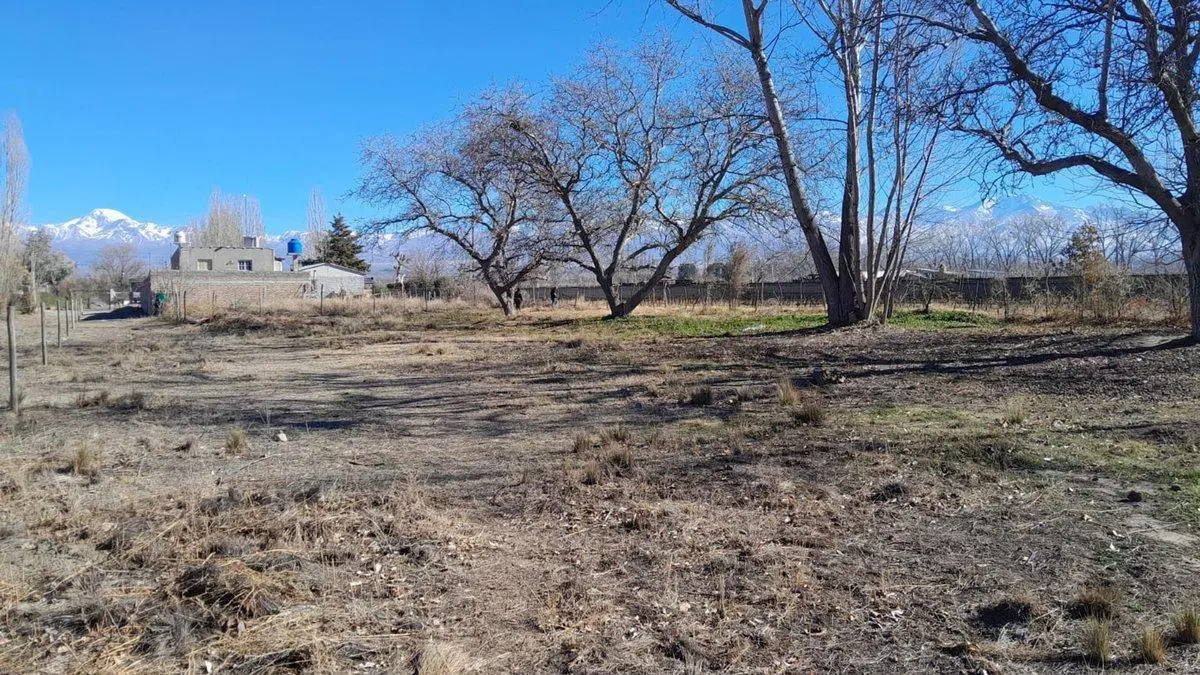 VENTA lote de 1450m2 Tupungato "BAJAMOS PRECIO" 5