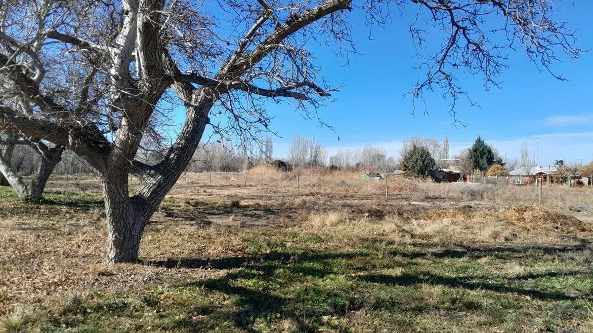 VENTA lote de 1450m2 Tupungato "BAJAMOS PRECIO" 8