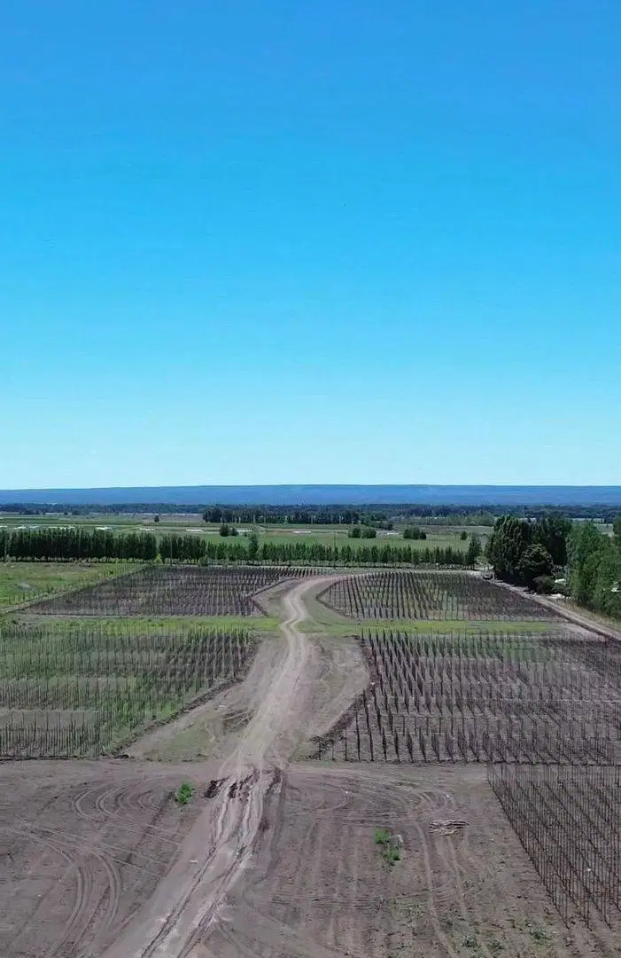 Venta de Lotes, Casas y Lodge. Proyecto Desarrollo 2