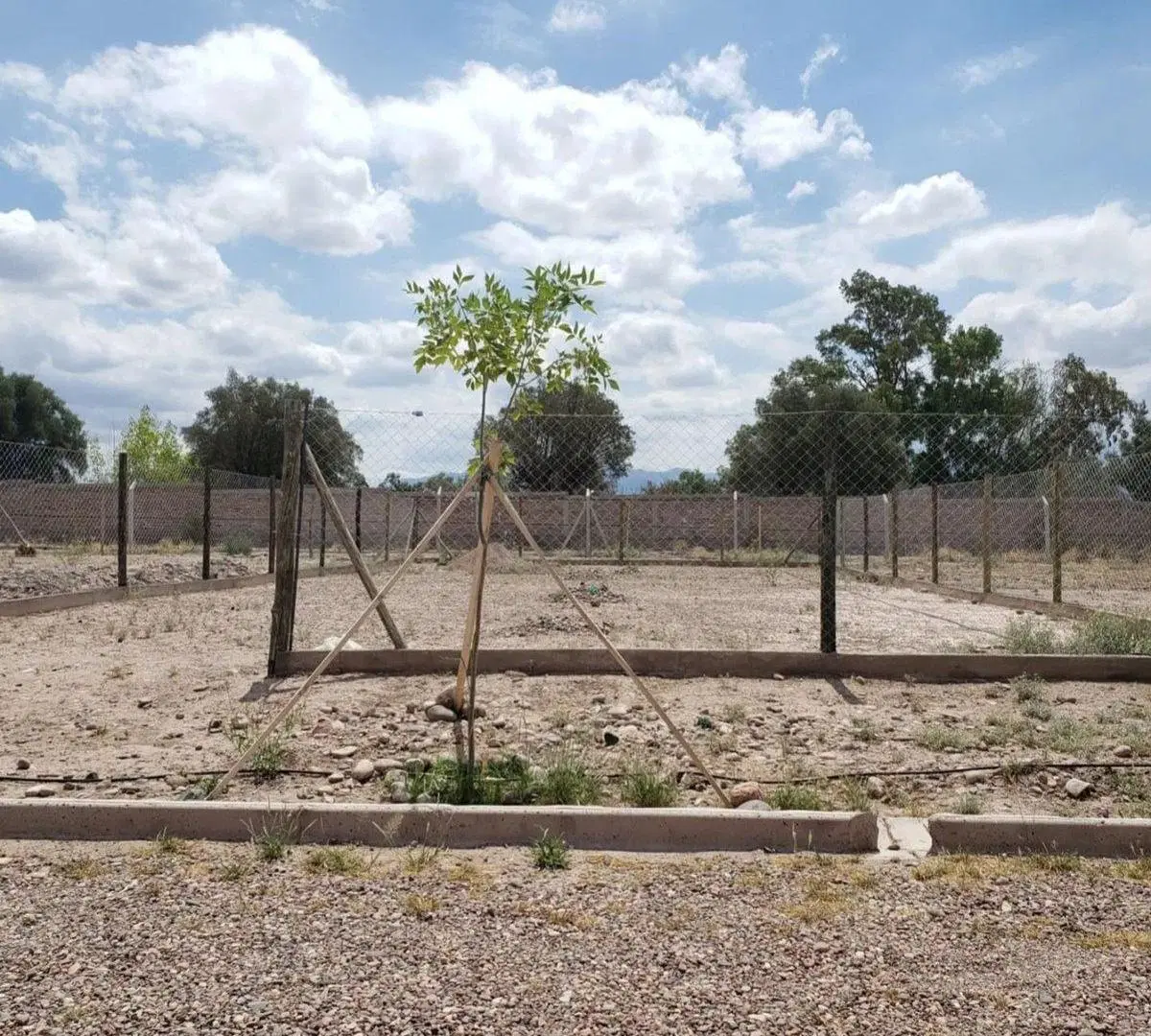 VENTA DE LOTE EN BARRIO LA HERRADURA MAIPÚ 4