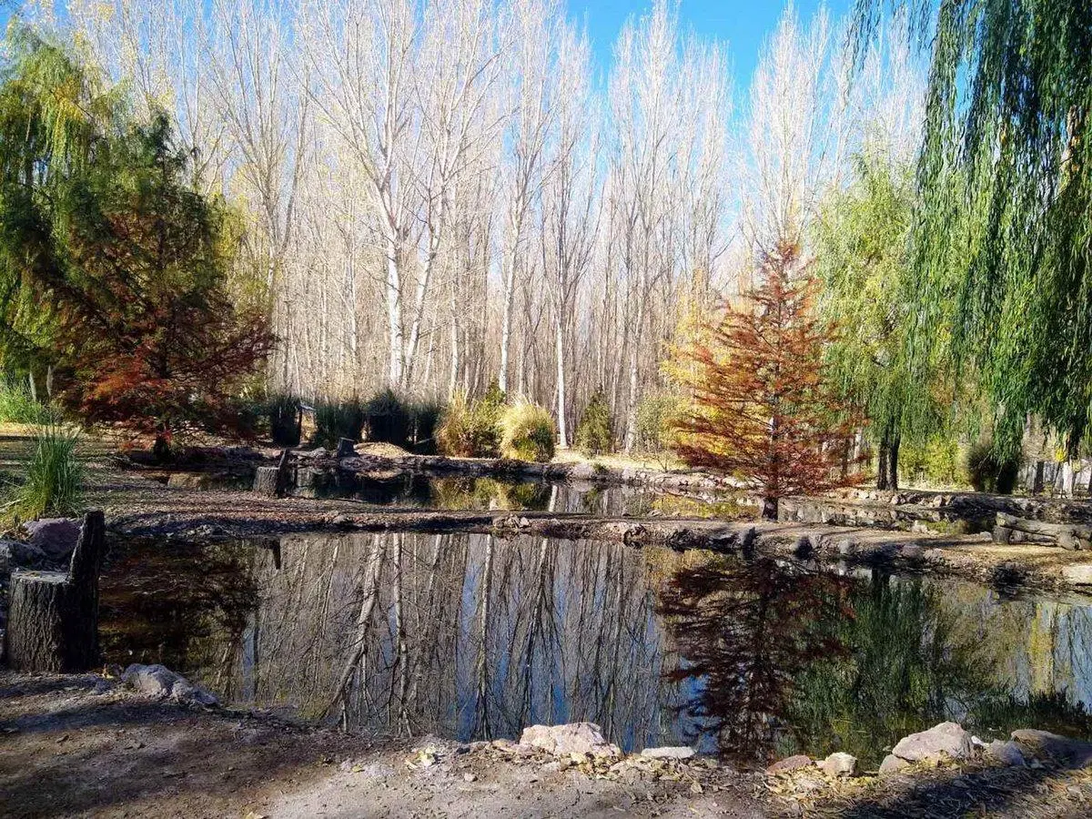 Venta de lote en Uspallata 2000 mt Barrio Privado 5