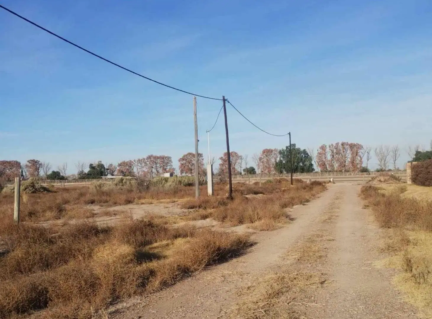 Gran Lote en Venta en Junín 8