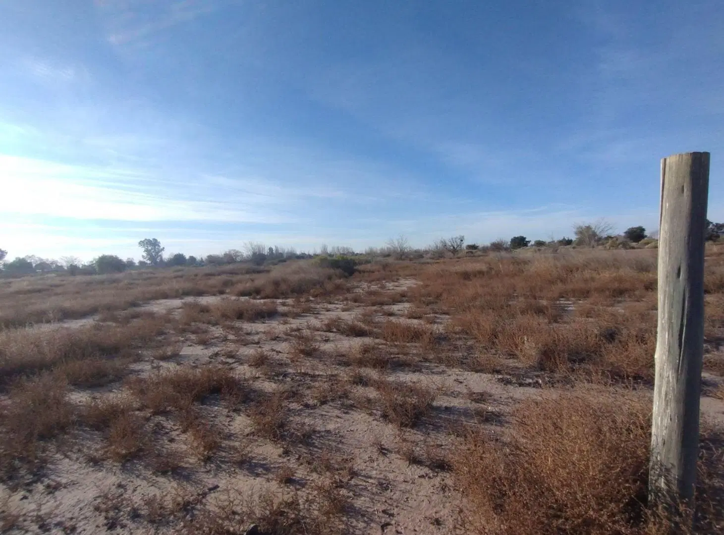 Gran Lote en Venta en Junín 4