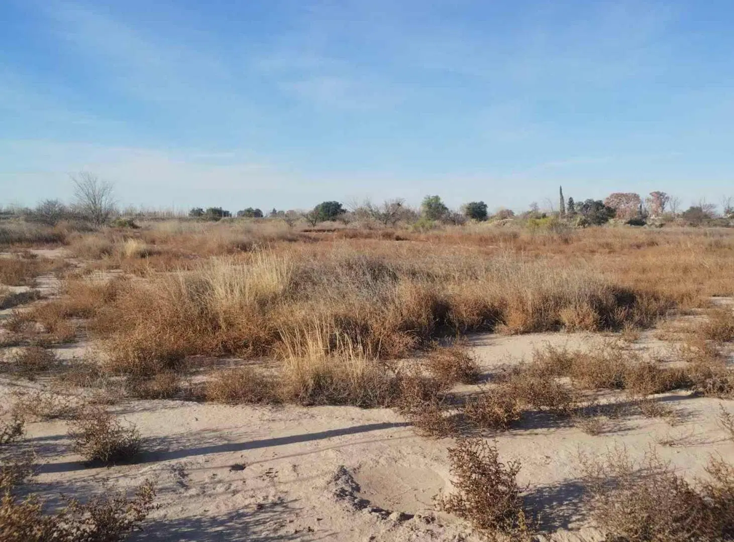 Gran Lote en Venta en Junín 5