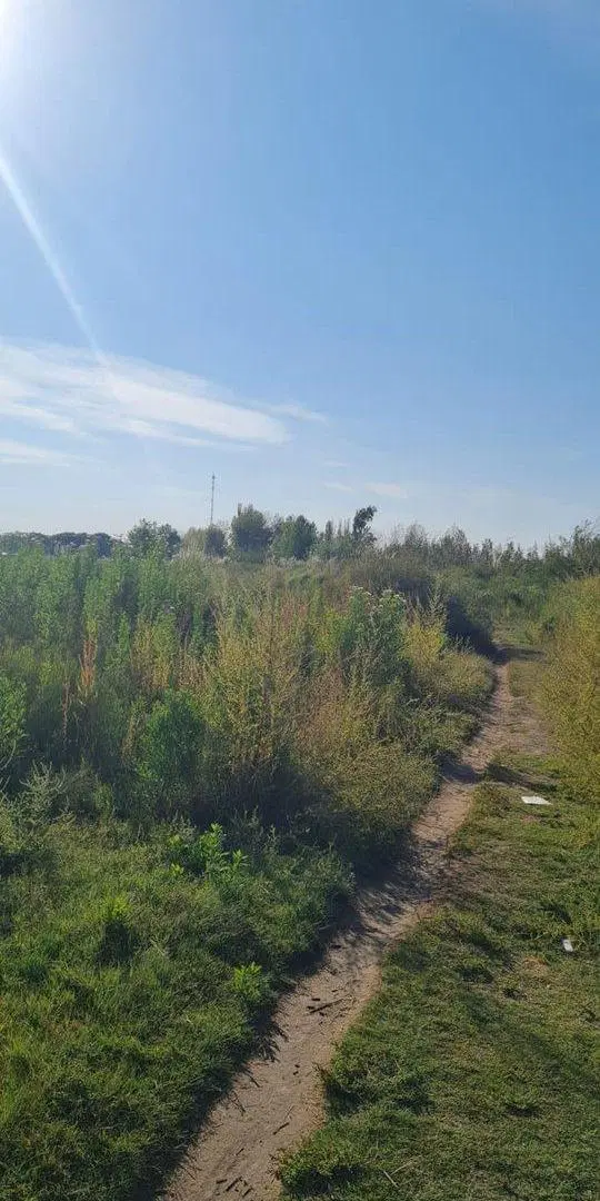 LOTE EN VENTA  EN  TUNUYÁN-MENDOZA- 2,5 HAS 5
