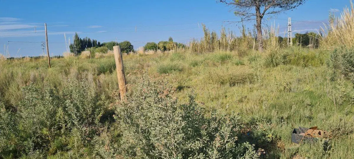 LOTE EN VENTA  EN  TUNUYÁN-MENDOZA- 2,5 HAS 4