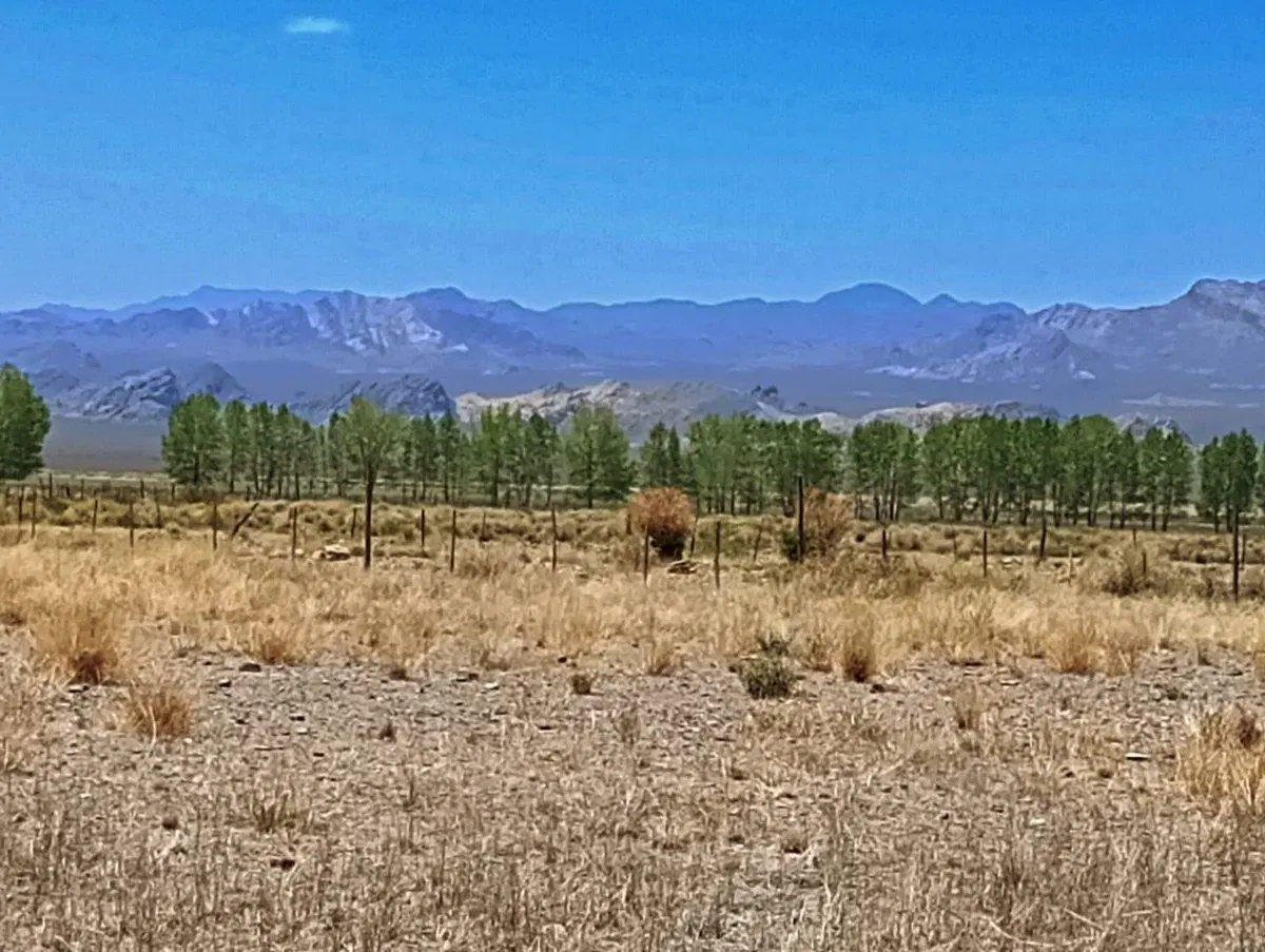 Lote San Alberto Uspallata 2