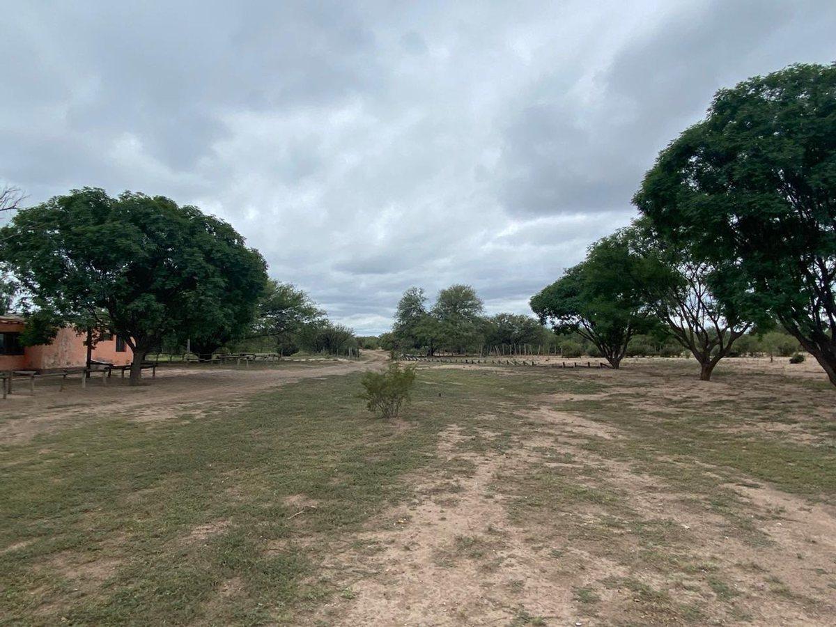 Foto de Campo en venta - Cuadro Nacional - San Rafael, imagen 1
