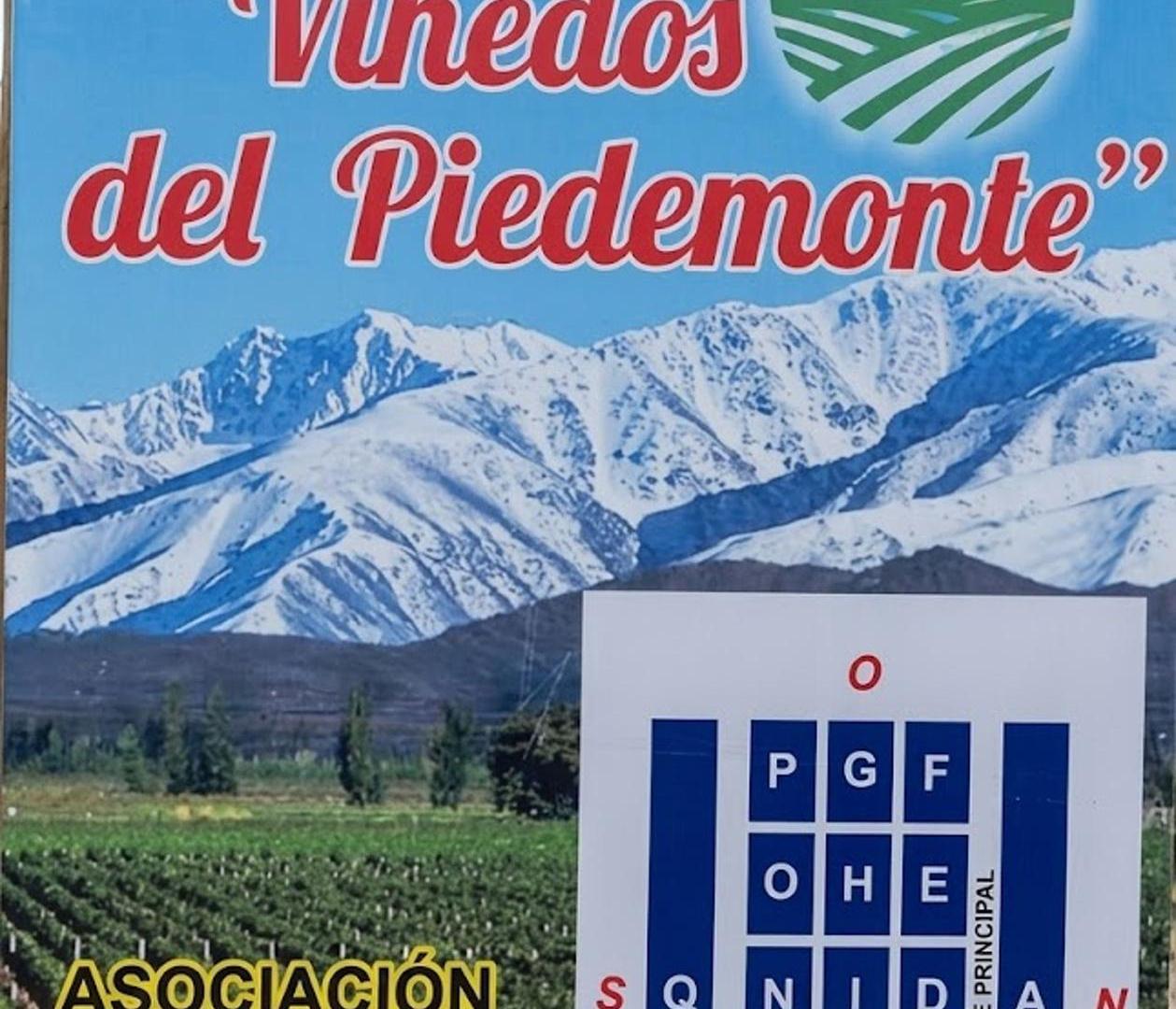 Foto de LOTE 500 M² VIÑEDOS DEL PEDEMONTE LUJÁN DE CUYO, imagen 4