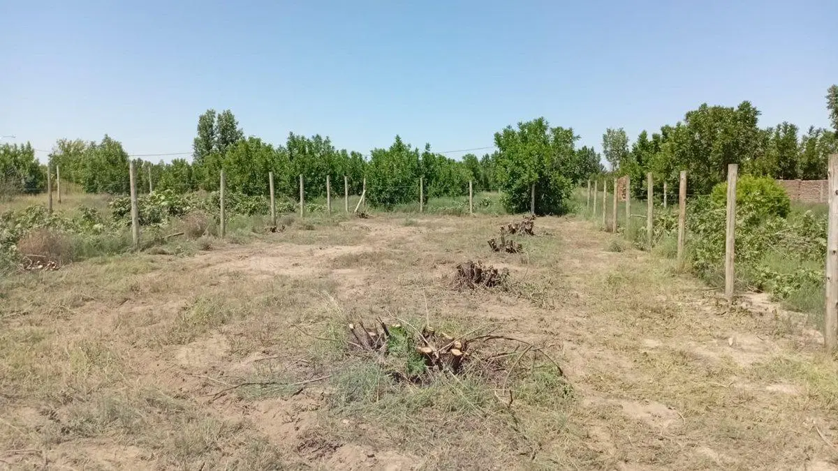 Venta Lote 400 m² Tupungato El Nogal Negro RN 40 8