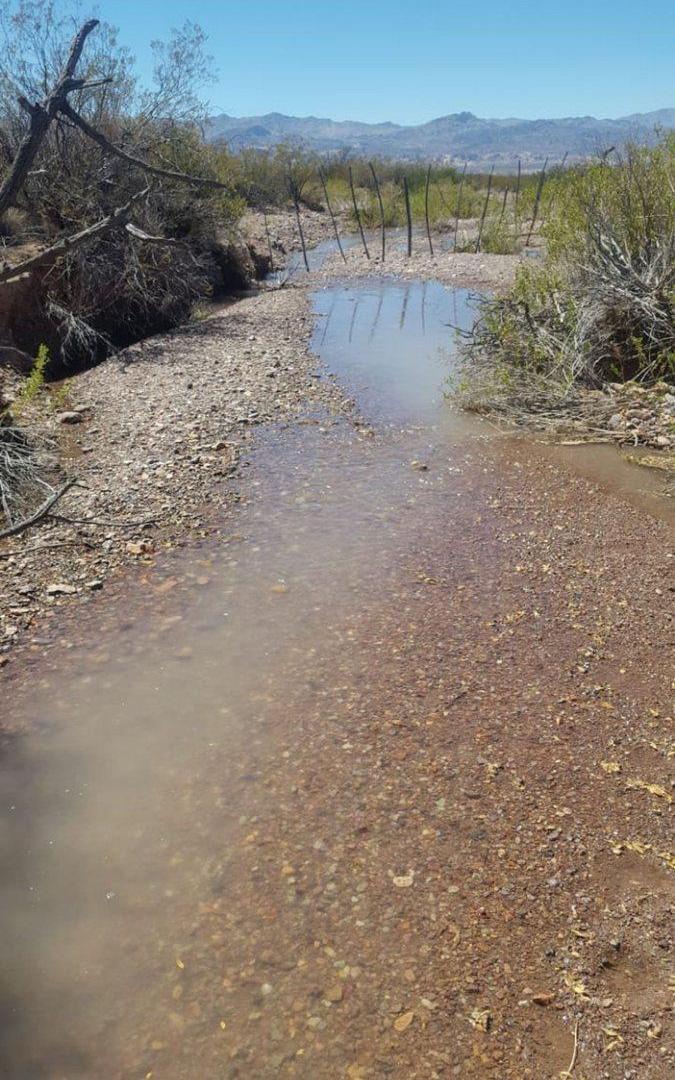 Foto de Terreno en venta en Uspallata, Los Tambillos, Mza, imagen 4