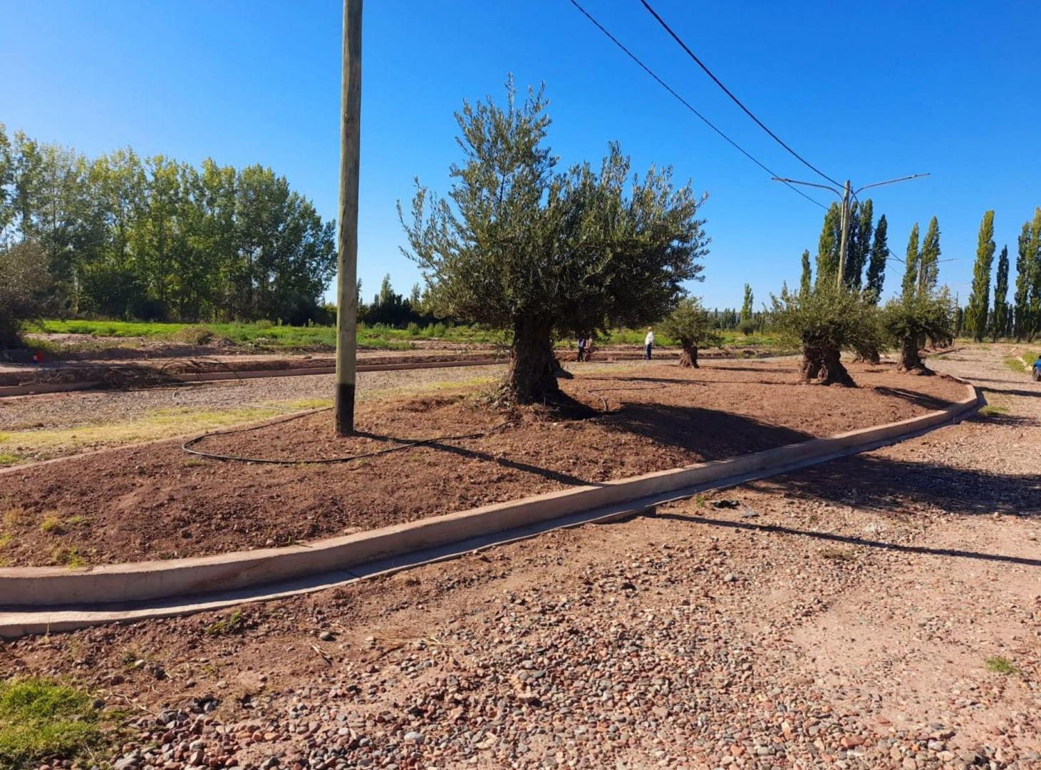 Foto de Venta de Lote Barrio PRIVADO TERRA PERUGIA, imagen 1