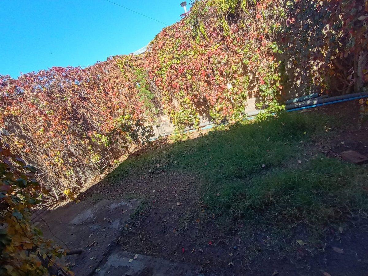 Foto de Venta de Casa + Departamento, Luján de Cuyo, imagen 2