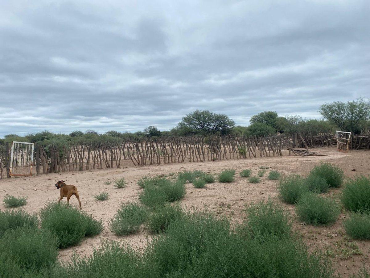 Foto de Campo en venta - Cuadro Nacional -San Rafael, imagen 2