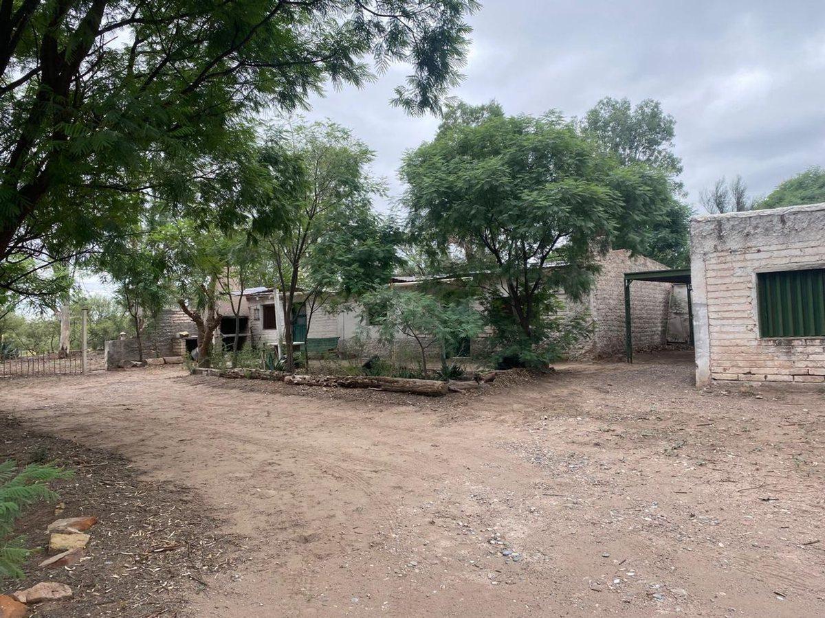 Foto de Campo en venta - Cuadro Nacional -San Rafael, imagen 3