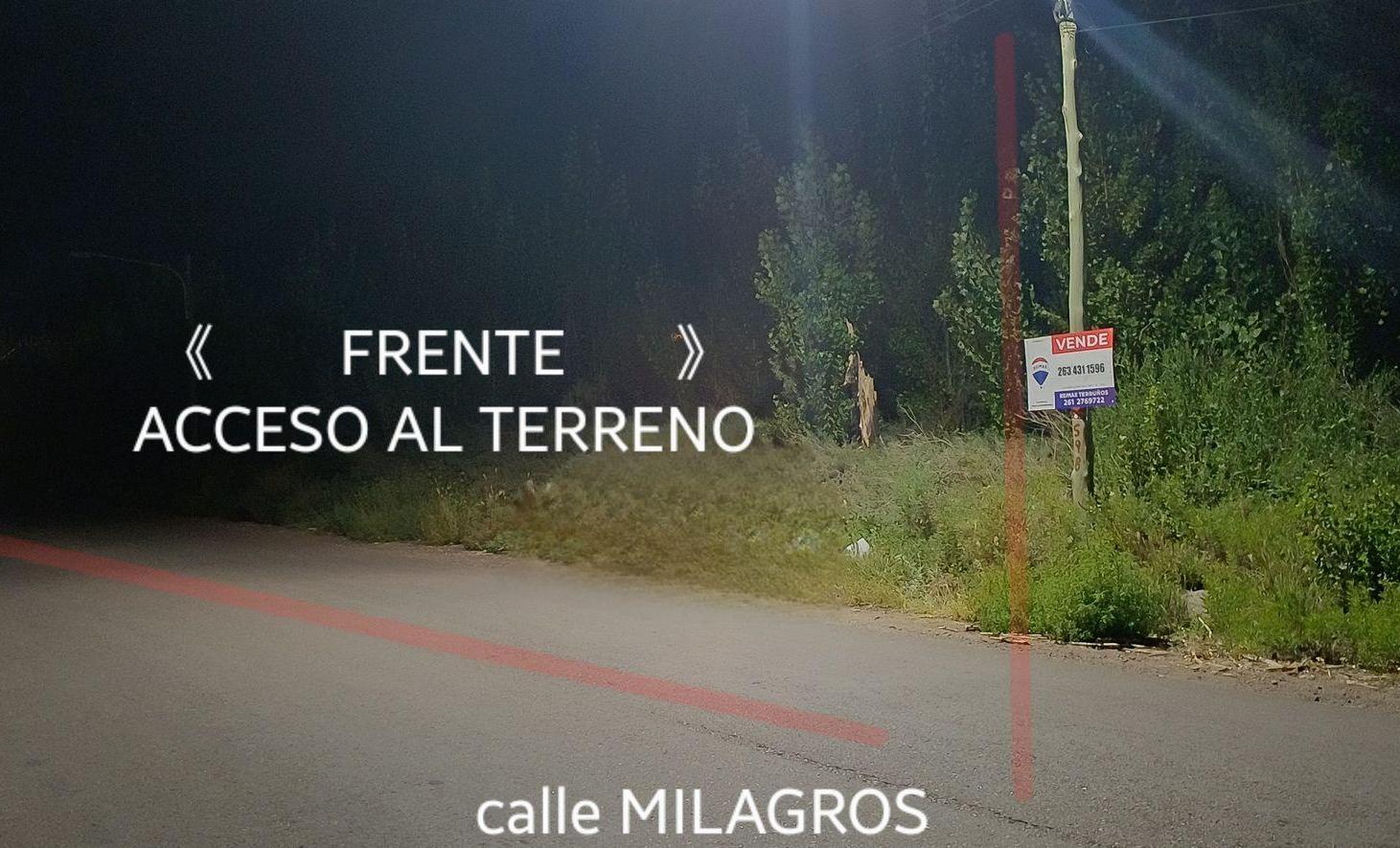 Foto de TERRENO 12 Ha. COLONIA MOLINA -GUAYMALLÉN, imagen 2