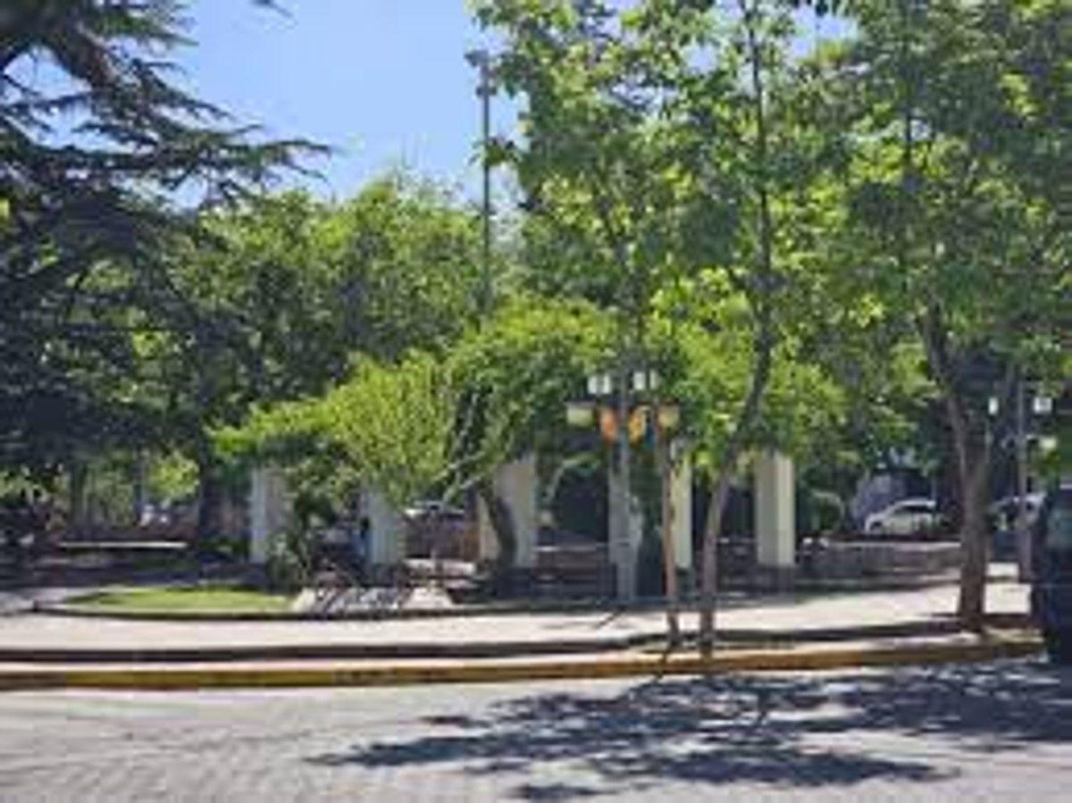 Foto de OPORTUNIDAD COMERCIAL - Alquiler CHACRAS DE CORIA, imagen 3