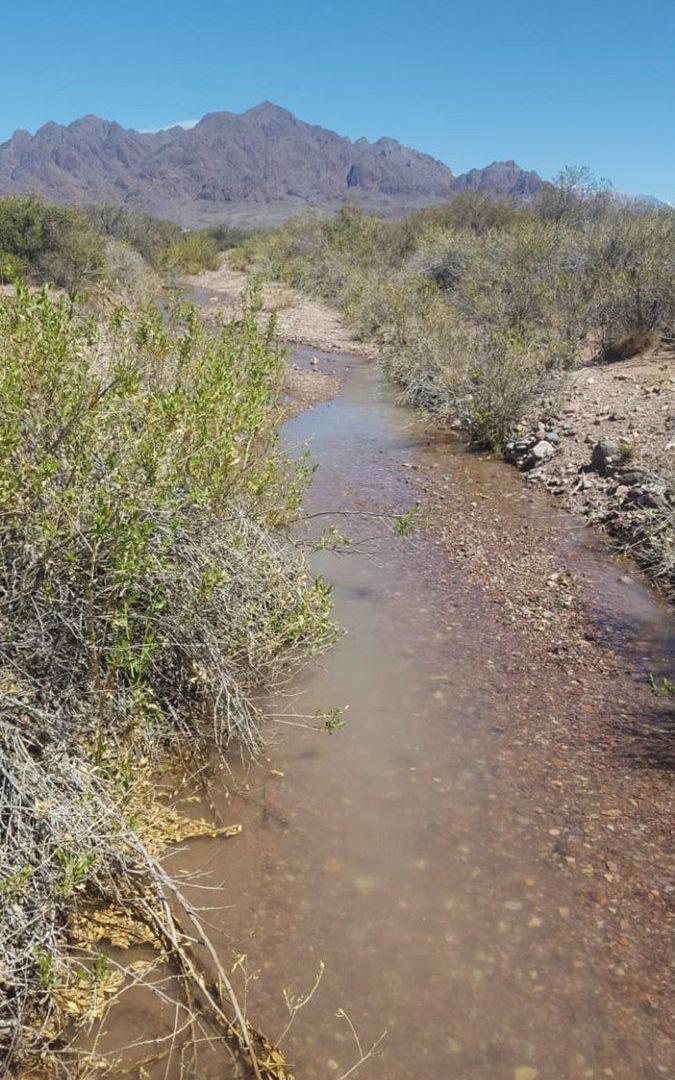 Foto de Venta 3 has en Los Tambillos, Uspallata, Mendoza, imagen 4