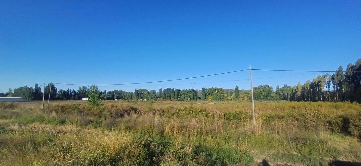 Foto de ALQUILER TERRENO 5.000 M2 . ACCESO SUR Y RUTA 7, imagen 1