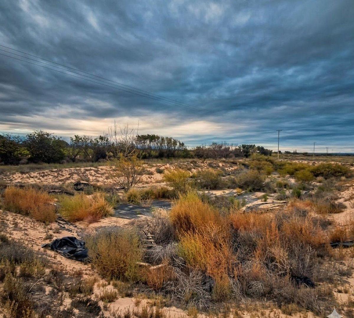 Foto de VENTA DE FINCA. KILOMETRO 49. LUJAN DE CUYO, imagen 1