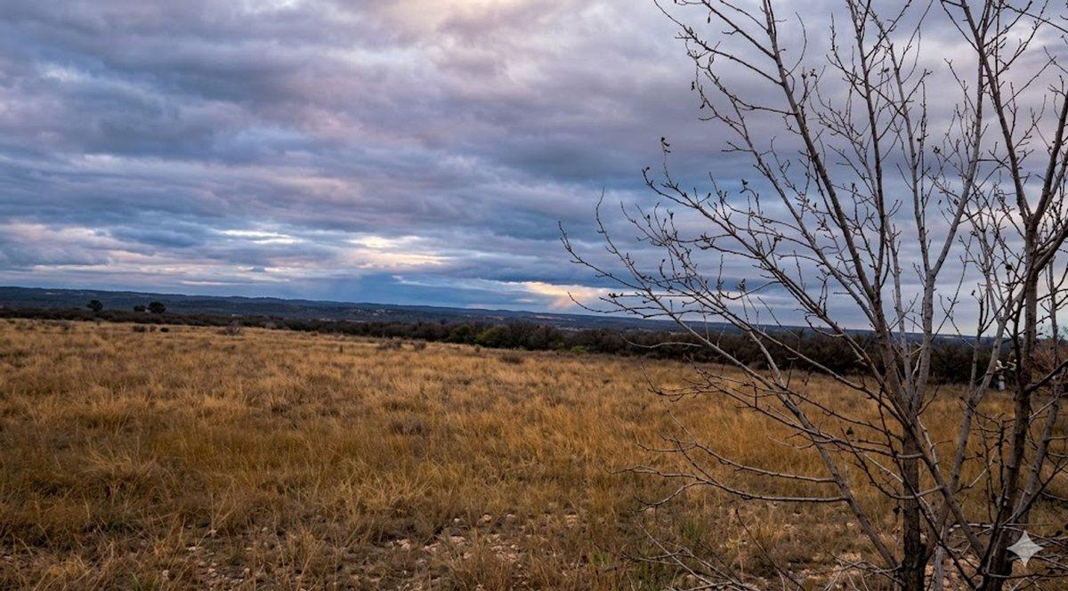 Foto de VENTA DE FINCA. KILOMETRO 49. LUJAN DE CUYO, imagen 5