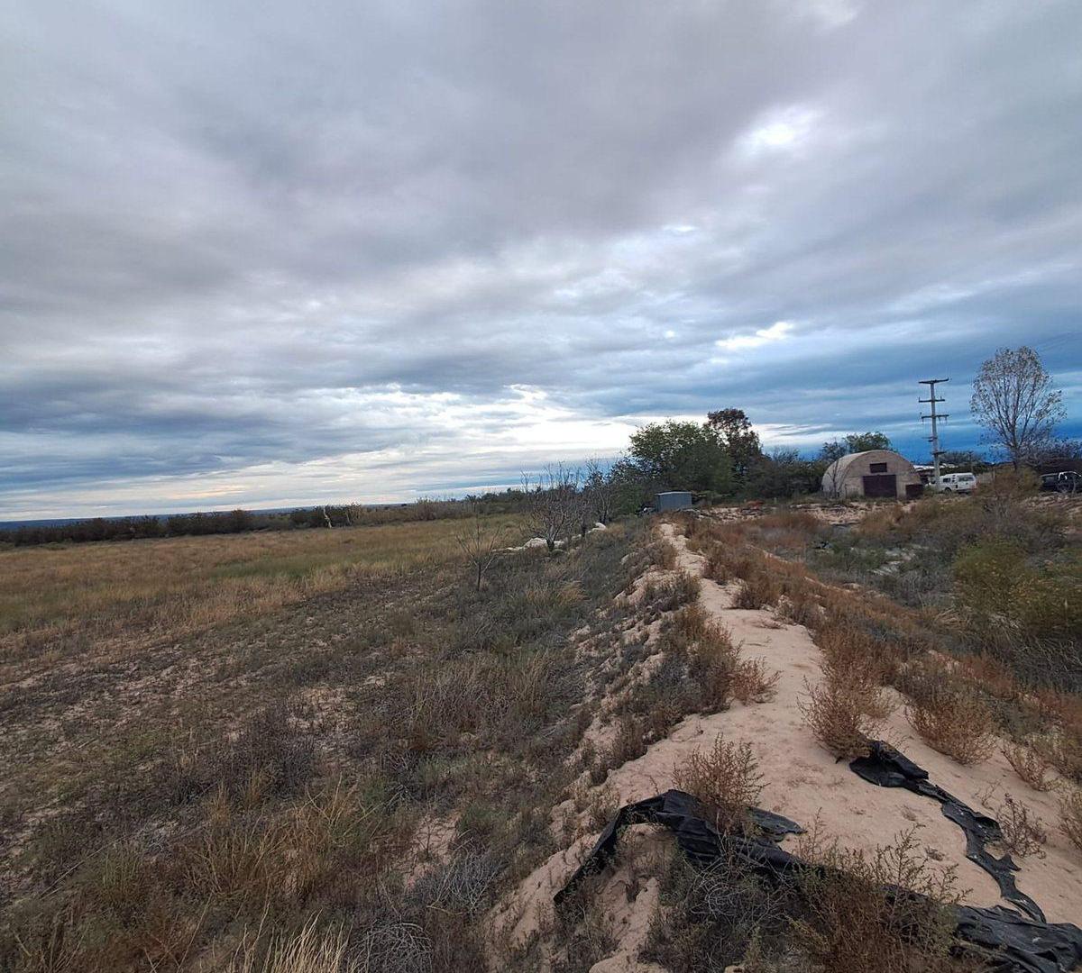 Foto de VENTA DE FINCA. KILOMETRO 49. LUJAN DE CUYO, imagen 3