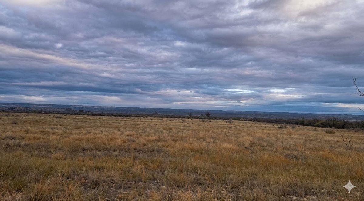 Foto de VENTA DE FINCA. KILOMETRO 49. LUJAN DE CUYO, imagen 2