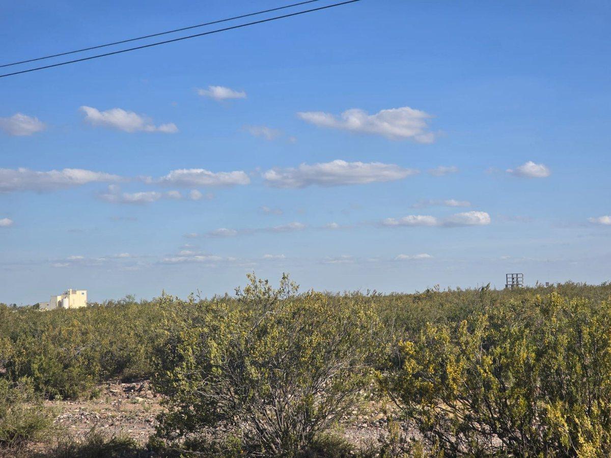 Foto de VENTA GRAN TERRENO - ZONA INDUSTRIAL LUJAN DE CUYO, imagen 2