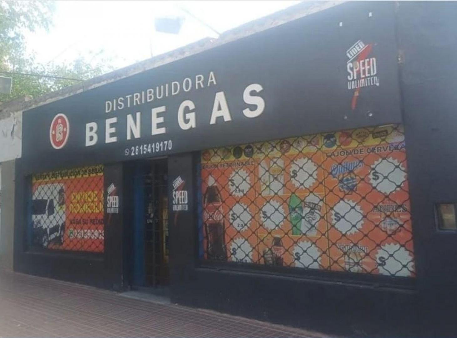 Foto de TERRENO DE 850M2 CALLE TIBURCIO BENEGAS GODOY CRUZ, imagen 5