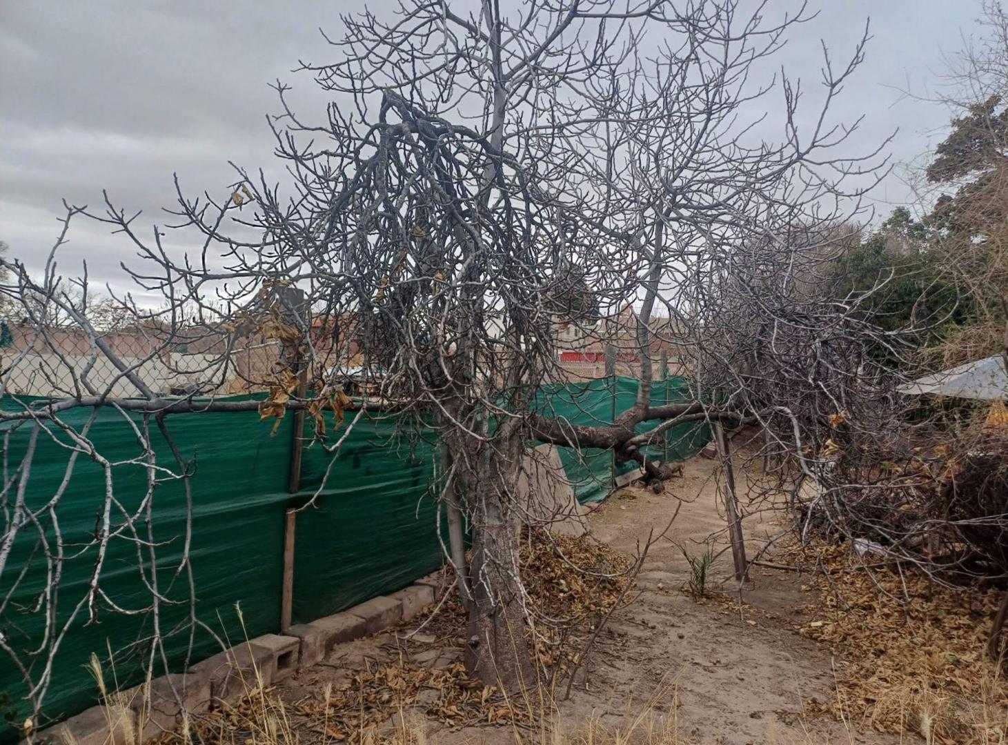 Foto de TERRENO DE 850M2 CALLE TIBURCIO BENEGAS GODOY CRUZ, imagen 3