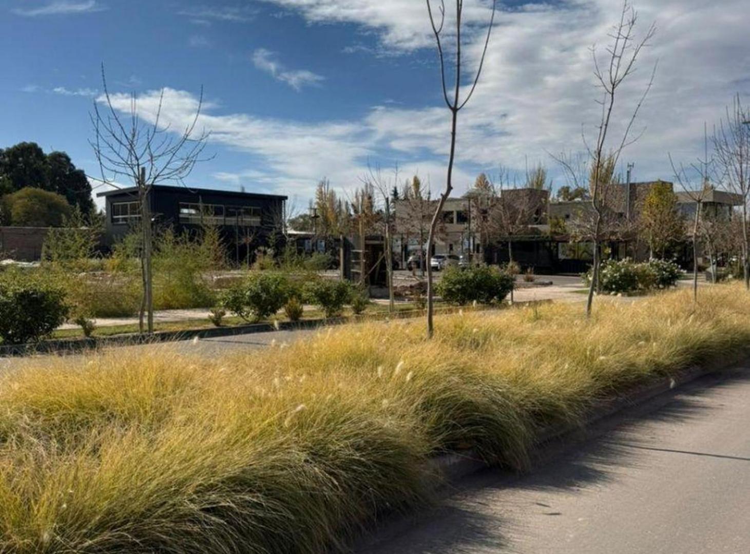 Foto de Lote CENTRAL B° PRIVADO TERRAZAS PARK VISTALBA, imagen 2