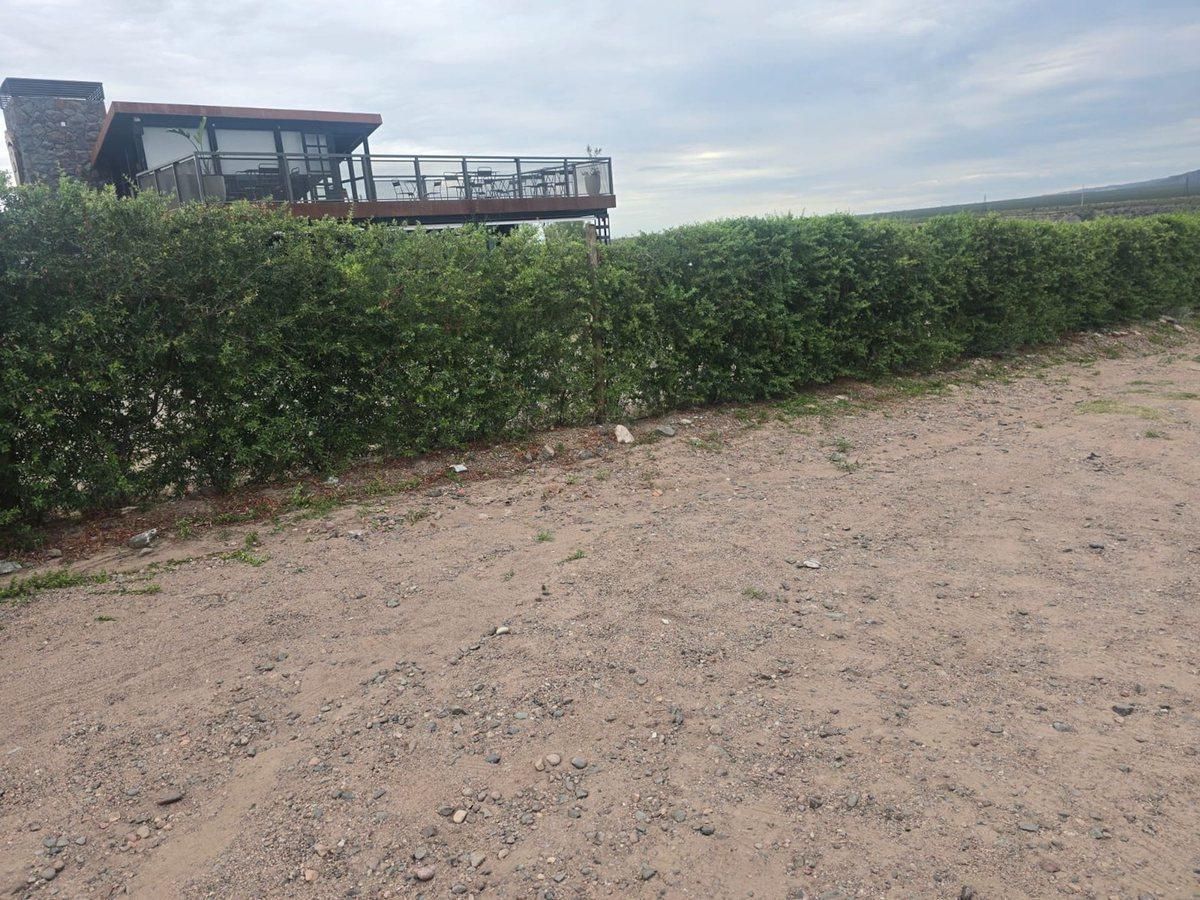 Foto de 4.500 M2 DE TERRENO EN VENTA EN RUTA 82 CACHEUTA, imagen 2